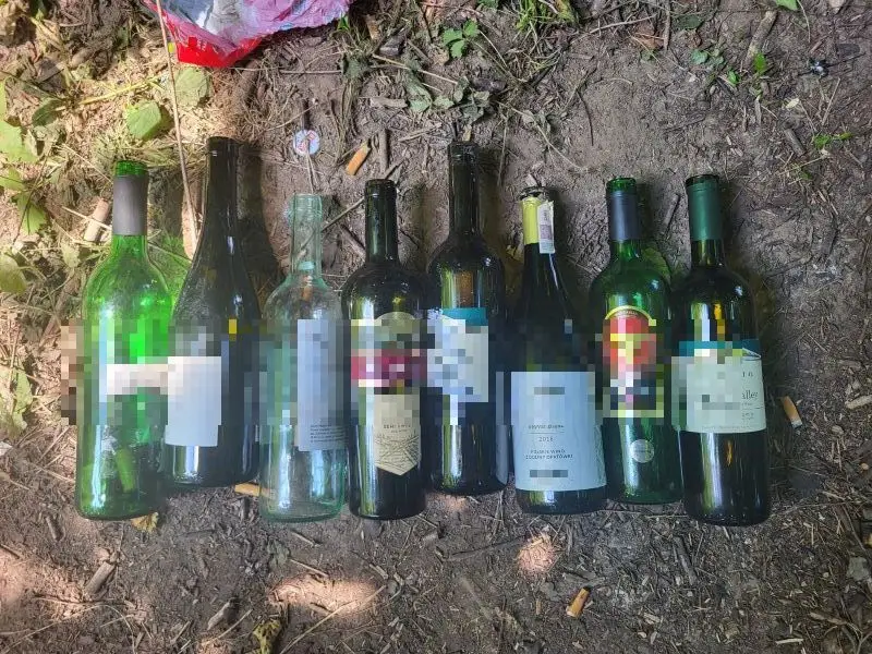 Zarzuty dla mężczyzny za kradzież win