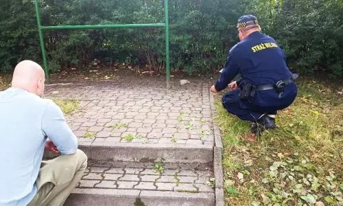 Interwencja Straży Miejskiej w sprawie porzuconych szczeniaków