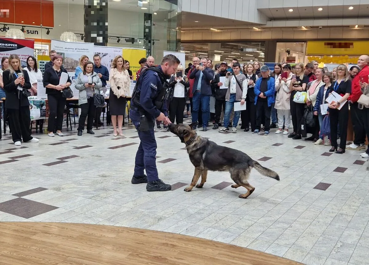 Targi pracy z udziałem policji w Kielcach