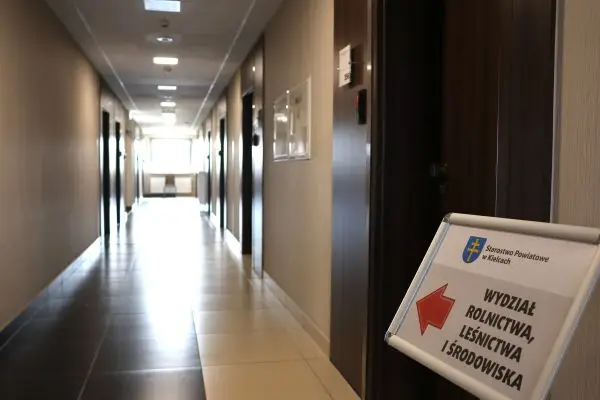 Wzrost liczby zaświadczeń o uproszczonym planie urządzania lasu w Kielcach