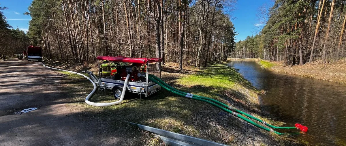 Szkolenie strażaków: gaszenie pożarów w lasach