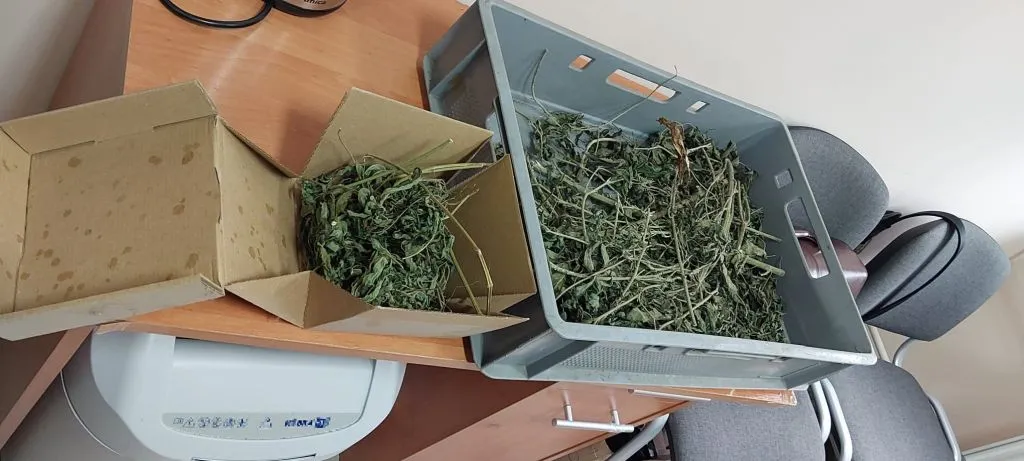 Problemy z jazdą w Łęgu